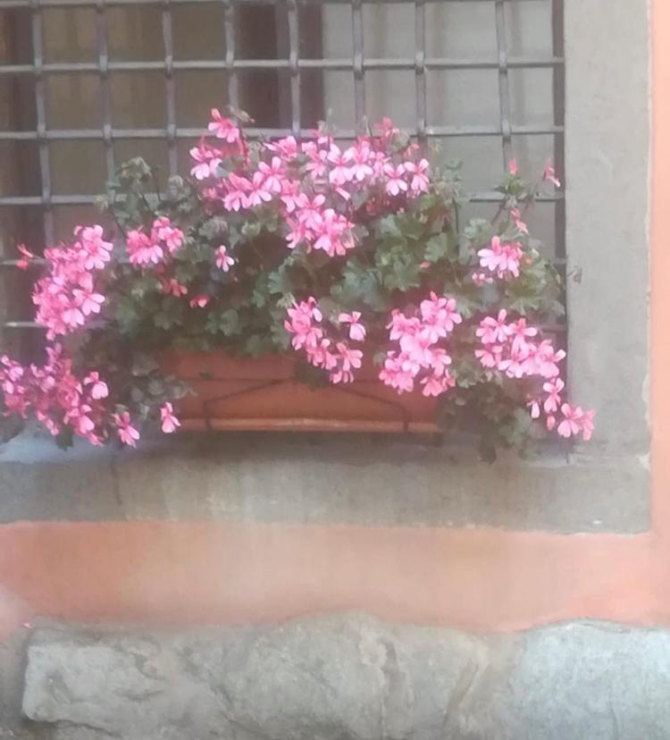 Apartament Casa Mirella Lovere Zewnętrze zdjęcie